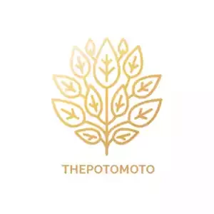 Thepotomoto